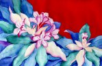 Azalea on Red Azalea on Red